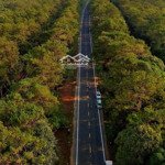 bán đất 121,42m2, 2,8 tỷ tại võ thị sáu, măng đen, kon plông, kon tum đẹp, nhiều tiện ích