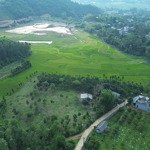 thửa đất hội tụ đủ tiêu chí nghỉ dưỡng!