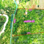1,34ha nguồn thu cực mạnh, mặt tiền cực nhiều ven gia nghĩa