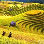 đất đấu giá thị xã nghĩa lộ yên bái 120m mặt tiền 6m đường rộng 13m giá đầu tư cực sốc