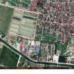 bán đất dịch vụ bích hoà sát vđ4, lô nguyên 1 chủ 50m2, đang bàn giao. giá đầu tư 3x/m2