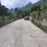 bán gấp đất 1.603m2 tại mỵ hòa, kim bôi, hòa bình, giá siêu hot 1,2 triệu vnd/m2