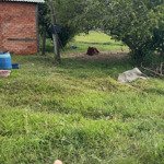bán gấp đất thổ cư sổ hồng riêng tại hoà khánh đông - long an đức hoà