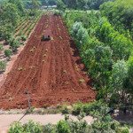 bán 4415m2 đất đỏ, đường nhựa, gần thị trấn ngãi giao, giá 3.2 tỉ