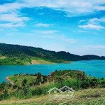 bán gấp biệt thự view hồ 1000m2 tại đam bri, bảo lộc, lâm đồng chỉ 300 triệu công chứng ngay