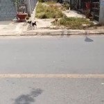 chủ ngộp! bán gấp 490 triệu, 209 m2, chính chủ giá tốt, trảng bàng, tây ninh
