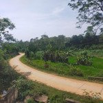 chính chủ bán lô đất thổ cư giá mềm