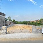 cắt lỗ 500triệu lô đất 450m2 mặt đường 446 trục chính kinh doanh sầm uất tại đông xuân giá 2xtr/m2
