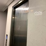 chdv có dòng tiền ổn định giá tốt
