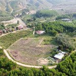 cần chuyển nhượng mảnh vườn đất trồng cây lâu năm mãnh đất rất đẹp đầy đủ cây ăn quả