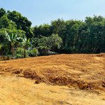 đất dân kinh doanh quá hợp lý hoacawj đầu tư