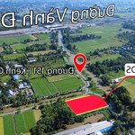 ngộp cần bán gấp 32x43m=1292m2 đất vườn nằm trong khu dân cư, mặt tiền rạch cây xanh, bình mỹ - cc