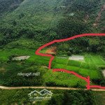lô đất làm trang trại, nhà vườn quá đẹp
10.000 m2 đất cây hàng năm quy hoạch thổ cư, bám suối