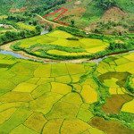 bán trang trại, khu nghỉ dưỡng ở quốc lộ 24, măng đen, kon plông, kon tum, 1,8 tỷ, 3000 m2