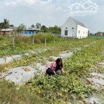 bán đất đẹp tại lạc tấn, tân trụ, long an, giá tốt 5,5 tỷ, 2248 m2