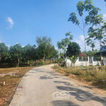đất nền sổ sẵn, dân cư đông đúc