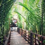 chuyển nhượng resort cao cấp hội an đang kinh doanh dòng tiền tốt, điểm đánh giá cao trên otas