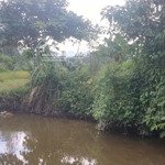 chính chủ bán đất thổ cư tại xã tú lý, đà bắc.