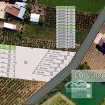 mở bán 14 lô đất f0 tại chợ tân hội, đức trọng - 5x29m - thổ cư - 650tr - sổ riêng