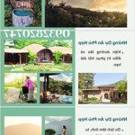 chuyển nhượng 29,89 ha đất làm dự án tại xã gia viễn, huyện cát tiên, lâm đồng cho cdt mới