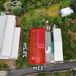 căn nhà vườn ngay trung tâm thành phố bảo lộc với thiết kế tropical thực sự đáng sống & đầu tư đây