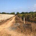 bán gấp 1000m2 đất lô 2 hùng vuong - tân tiến - tx lagi giá rẻ 1.3 tỷ gần biển tam tân
