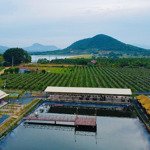 [dinh thầy thím] cơ hội đầu tư và phát triển kinh doanh với lô đất nền 13,000m (chính chủ)