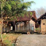 chính chủ gửi bán 1.3ha thổ cư, đất vườn, thuộc tt đà bắc, chỉ hơn 500k/m2,cách cao tốc vài trăm m