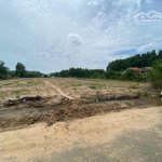 bán đất ont 8600m2 (48x180)giá 5tr/m2 đường phước bình xã phước bình huyện long thành đồng nai