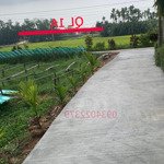 12x12: 268tr. 6x23: 368tr, dân cư xung quanh, gần ql1a, chợ thi phổ, trường học, bv, ngân hàng...
