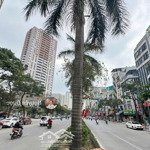 bán nhà mặt phố tân mai, phố đường đôi cực đẹp, 8t thang máy 77m², mt 6.9m, thu 1.4tỷ/năm chỉ 55tỷ