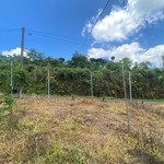 đất đẹp sẵn thổ cư tại nguyễn an ninh, xã đam bri, bảo lộc, lâm đồng