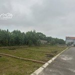bán đất tại quất lâm, giao thủy, nam định, 1,5 tỷ, 75 m2