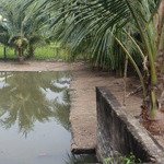 chính chủ bán đất phước thuận gần hồ tràm thích hợp đầu tư sinh lời làm khu nghỉ dưỡng giá 7.2ty