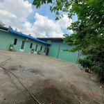cho thuê xưởng 1000m2 xã bình minh, trảng bom, đường võ nguyên giáp. lh 0906694959