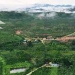 cần bán gấp lô hàng ngộp có thổ cư, dt 223.2m2 lộc quảng, bảo lâm, giá hời