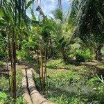 hàng cực hiếm!!!
cần chuyển nhượng lại hơn 3600m2 mặt tiền lộ vòng cung. cách cầu rau răm 1,5km.