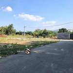 cần bán đất mt bảo định giang, đông hoà hiệp, cái bè, tiền giang. giá 500tr/120m2,shr