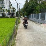 view lúa an mỹ - thanh hà hội an gần phố cổ,gần biển