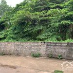 [chính chủ] bán mảnh đất 650.4m2 thịnh đán, cách mặt đường đường lê hữu trác 300m.