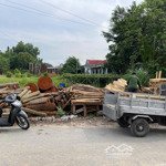 đất củ chi, lô đất đường nhựa xe tải, diện tích 815 m2 full thổ , xã tân thạnh đông, huyện củ chi