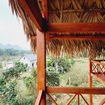 hot hot lô đất sẵn nhà sàn đẹp và ao cá tại tân lạc. diện tích 2800m, chỉ việc xách valy về ở!