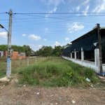 chốt ngay đất thổ cư siêu đẹp an hòa, trảng bàng 399,7m2 giá 450 triệu sau lộc!