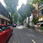 biệt thự pháp phố đặng thái thân 65m sân vườn siêu đẹp oto vào nhà sát mặt phố 20tỷ