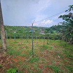 đất nghỉ dưỡng đầu tư siêu đẹp tại nguyễn an ninh, bảo lộc.