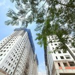 căn ngộp chủ bán gấp 62m2 2pn 2wc giá 1ty490 bao thuế phí