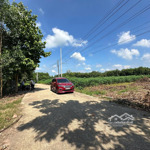 ngộp bán hơn 1000m2 ngang 20m dài 50m, mặt tiền đường bê tông 8m, sát trục dt741 giá chỉ: 380tr
