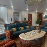 thật 100% siêu phẩm phân lô kinh doanh đỉnh vị trí vàng giải phóng
dt: 99m, 9 tầng, mt 8m, 2x tỷ