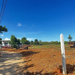 cần bán đất 2000m , đất đỏ bazan , khu dân cư đông. view đồi