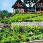 chỉ có tại đà lạt: mua lô nhà đất triệu việt vương tặng villa sang trọng nghỉ dưỡng
